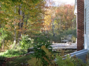 West facing side of house - stone patio area off of Dining Room